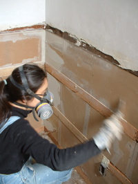 janeen filling gaps in plasterboard