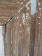 split and damaged window casing