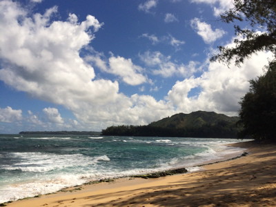 13-kauai-3.12.15