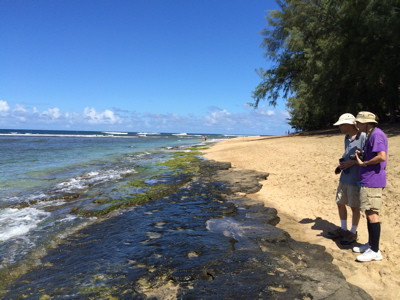 19-kauai-3.12.15