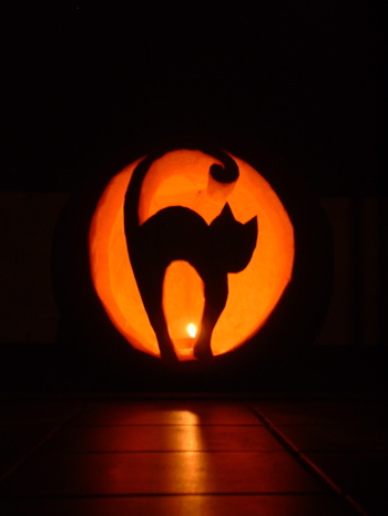 cat-o-lantern