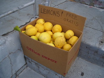 lemons!