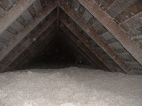 attic snow