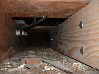 new sistered joist