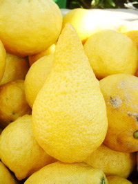 lemon