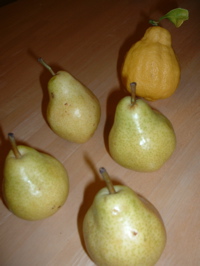 pears